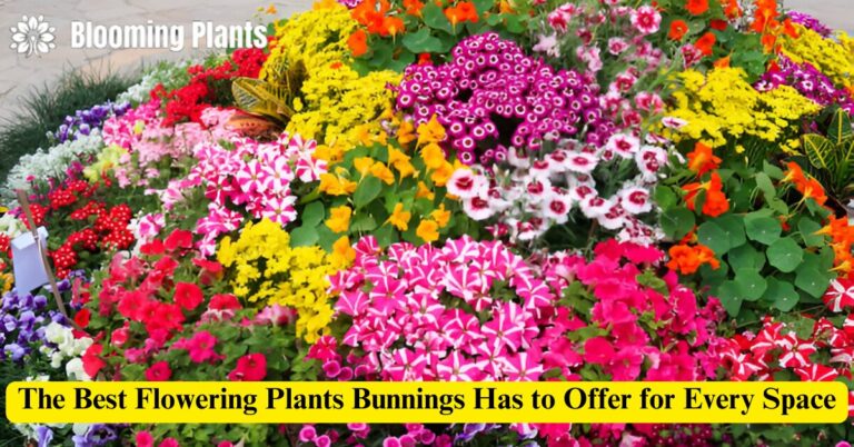 flowering plants bunnings