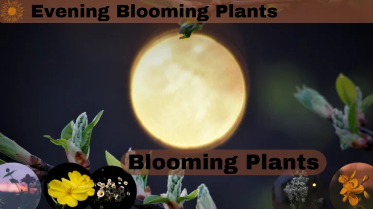 Evening Blooming Plants: A Comprehensive Guide to Nocturnal Garden Wonders