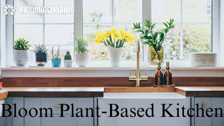 Bloom Plant-Based Kitchen