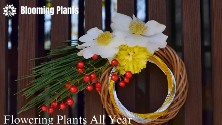 Flowering Plants All Year Round