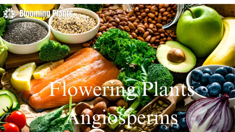 Flowering Plants Angiosperms