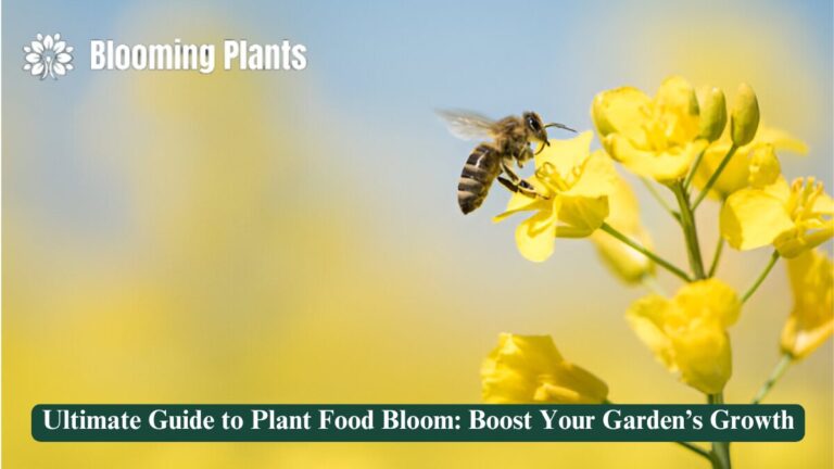 plant food bloom