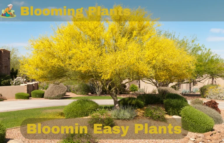 Bloomin’ Easy Plants: Simplify Your Garden with Low-Maintenance Choices