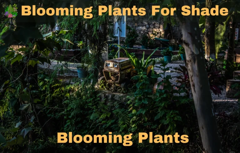 Blooming Plants for Shade: The Ultimate Guide to Brightening Your Shady Spaces