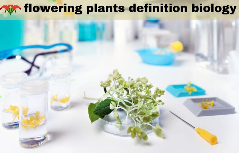 Flowering Plants: Definition, Biology, and Their Role in Nature