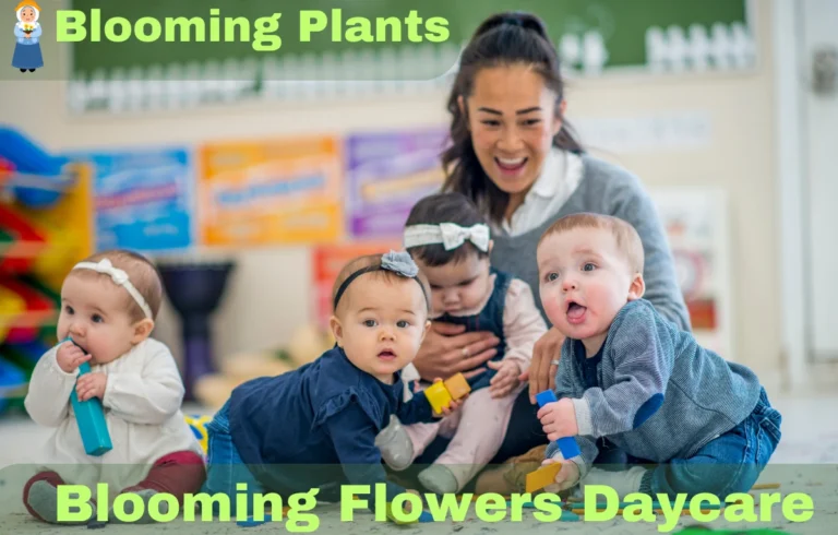 Blooming Flowers Daycare: Nurturing Vibrant Blooms Every Day