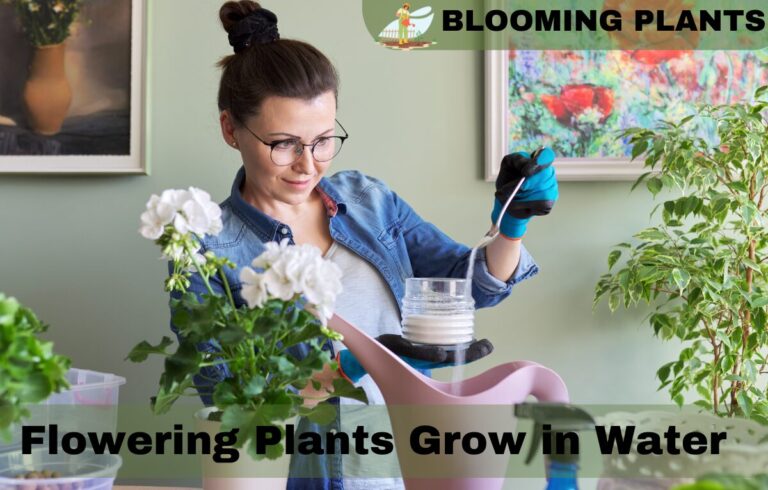 Flowering Plants That Grow in Water: A Comprehensive Guide