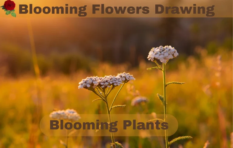 How to Create Stunning Blooming Flowers Drawings Inspired by Nature