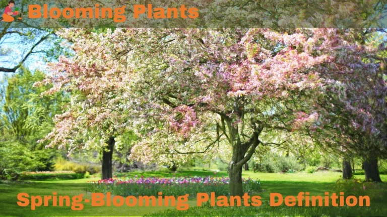 Spring-Blooming Plants: Definition, Benefits, and Care Tips