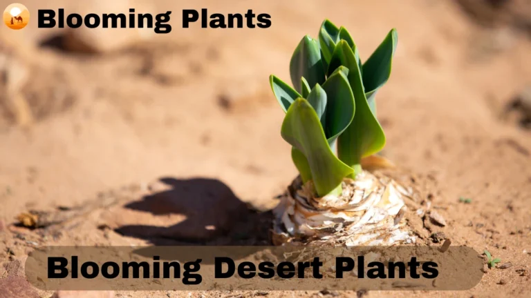 The Fascinating World of Blooming Desert Plants: A Comprehensive Guide