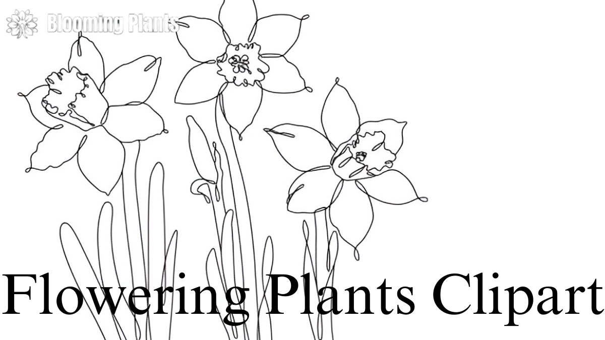Flowering Plants Clipart