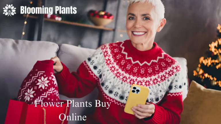 Flower Plants Buy Online