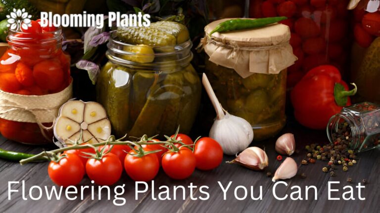 Flowering Plants You Can Eat