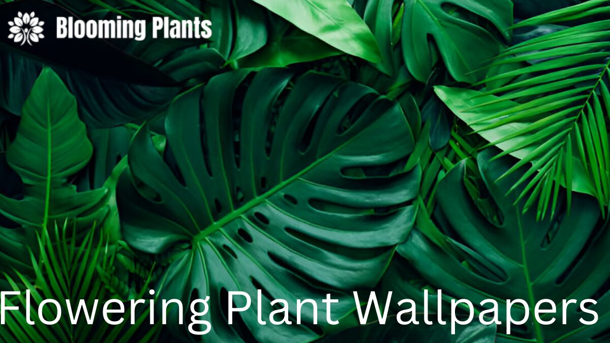 Blooming Green Plant Wallpaper