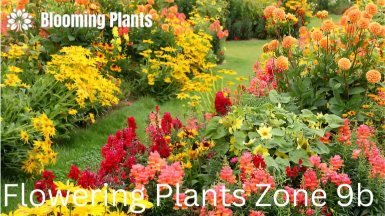 Colorful flowering plants thriving in a well-maintained Zone 9b garden, featuring vibrant blooms and lush greenery