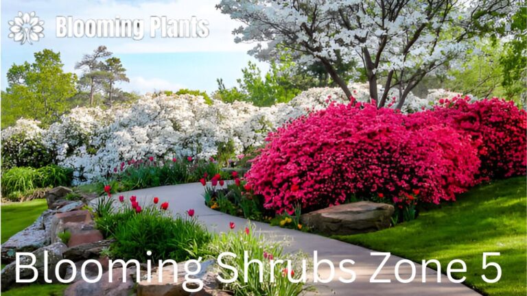 A vibrant garden in Zone 5 featuring blooming shrubs such as lilac, forsythia, and hydrangea, showcasing a colorful landscape.