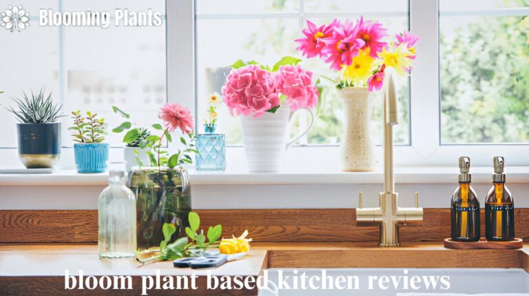 bloom plant based kitchen reviews