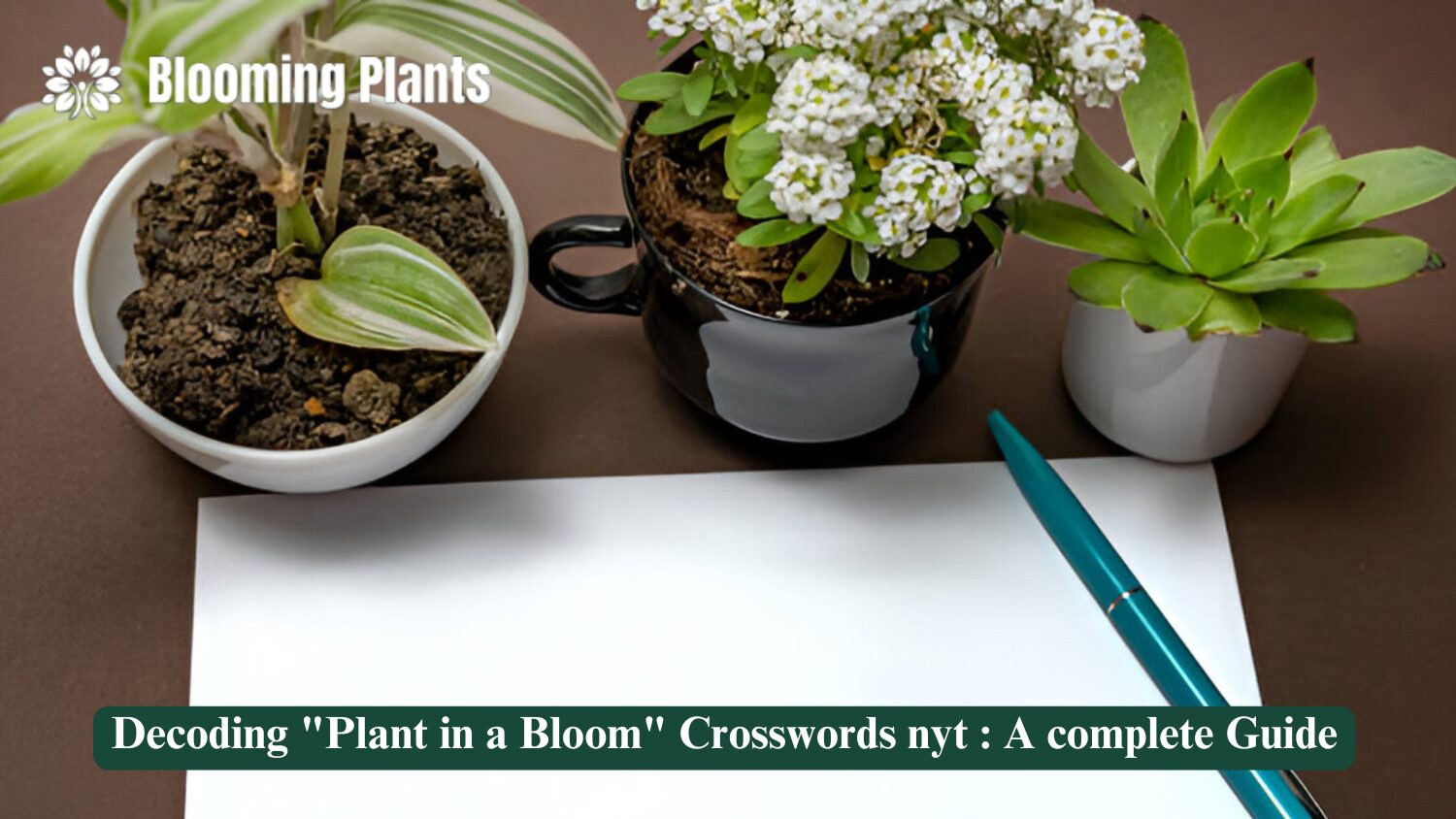 plant in a bloom crossword nyt